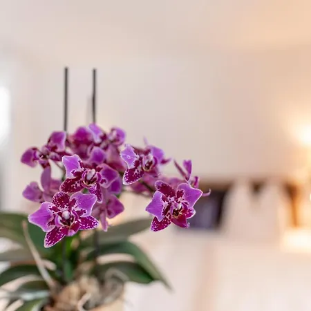 Wellnesshaus Reichelt 4*