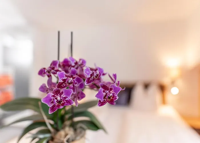 Wellnesshaus Reichelt 4*